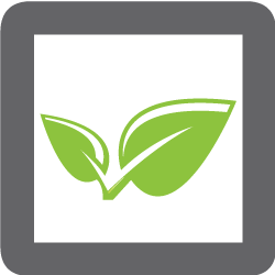 Ecológico